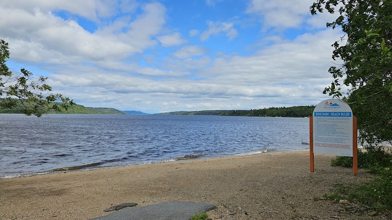 Gondola Point Beach Dog Park dog park