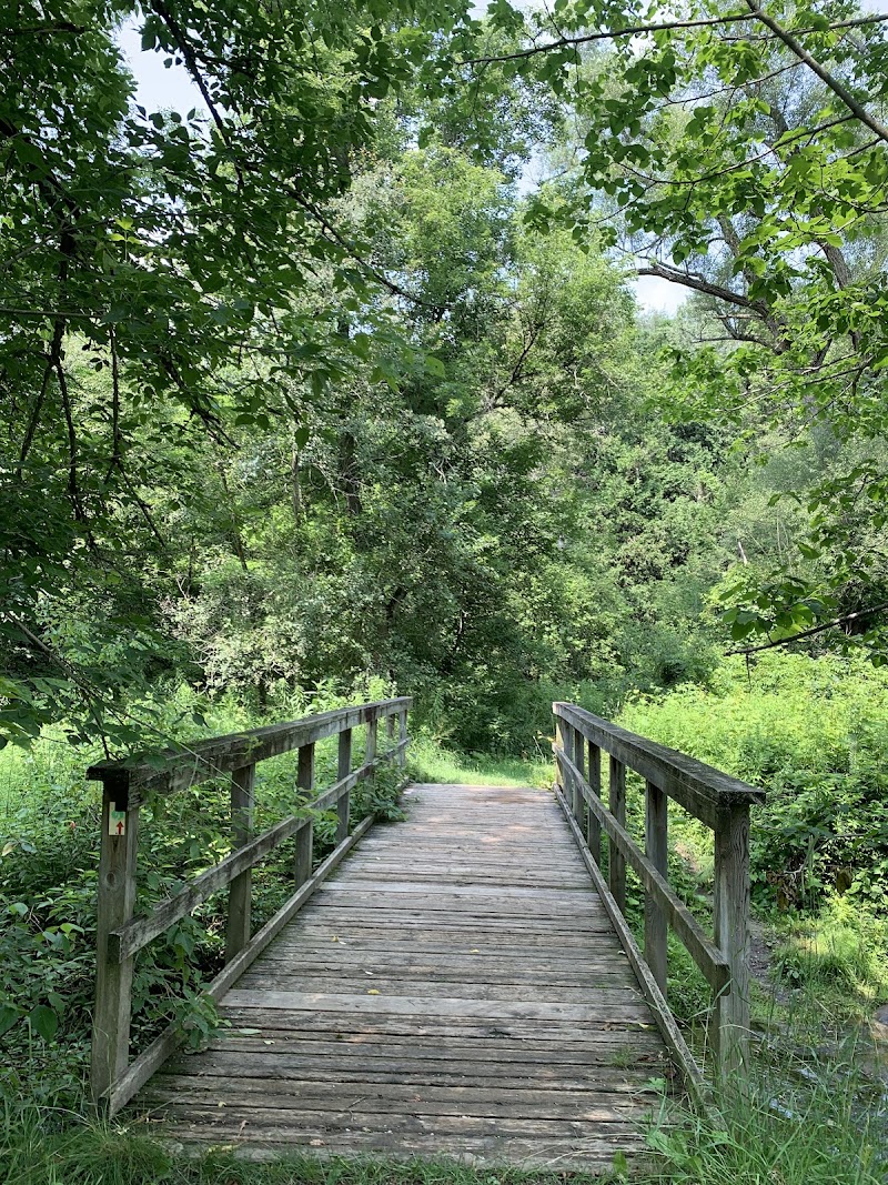 Scanlon Creek Bark Park dog park