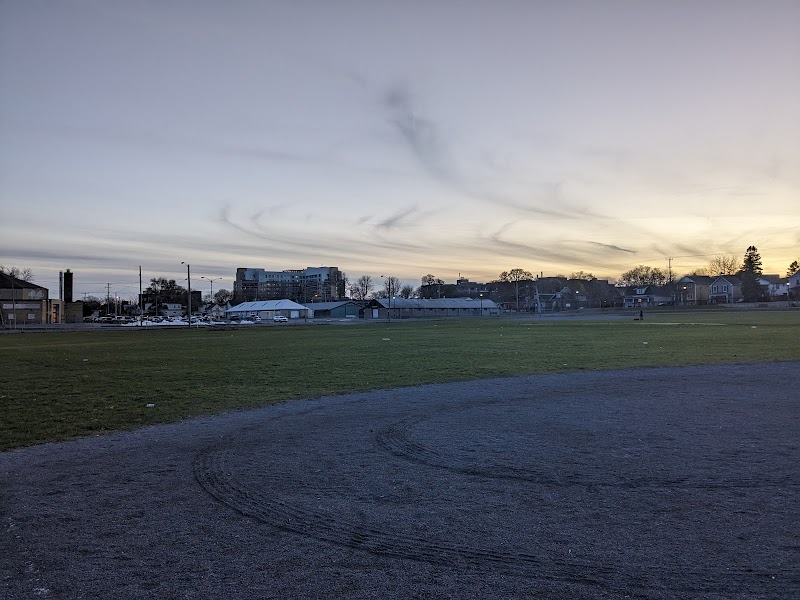 Memorial Centre Off-leash Dog Park dog park