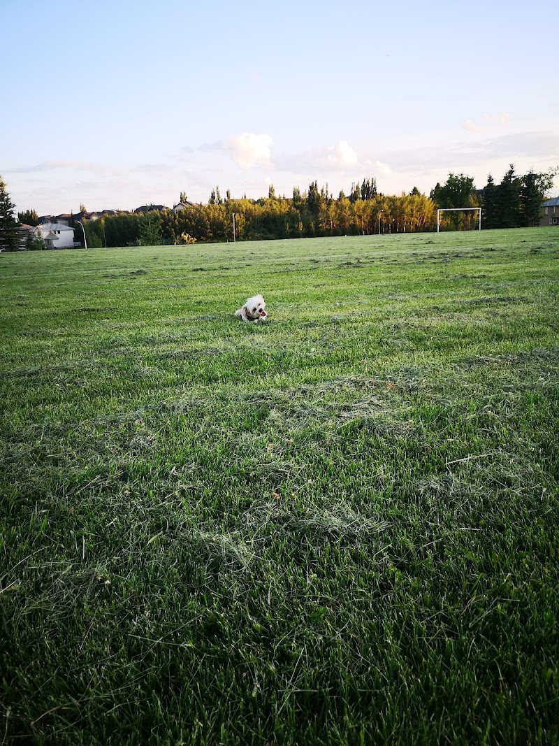 Beddington Area 4 Off Leash Dog Park dog park