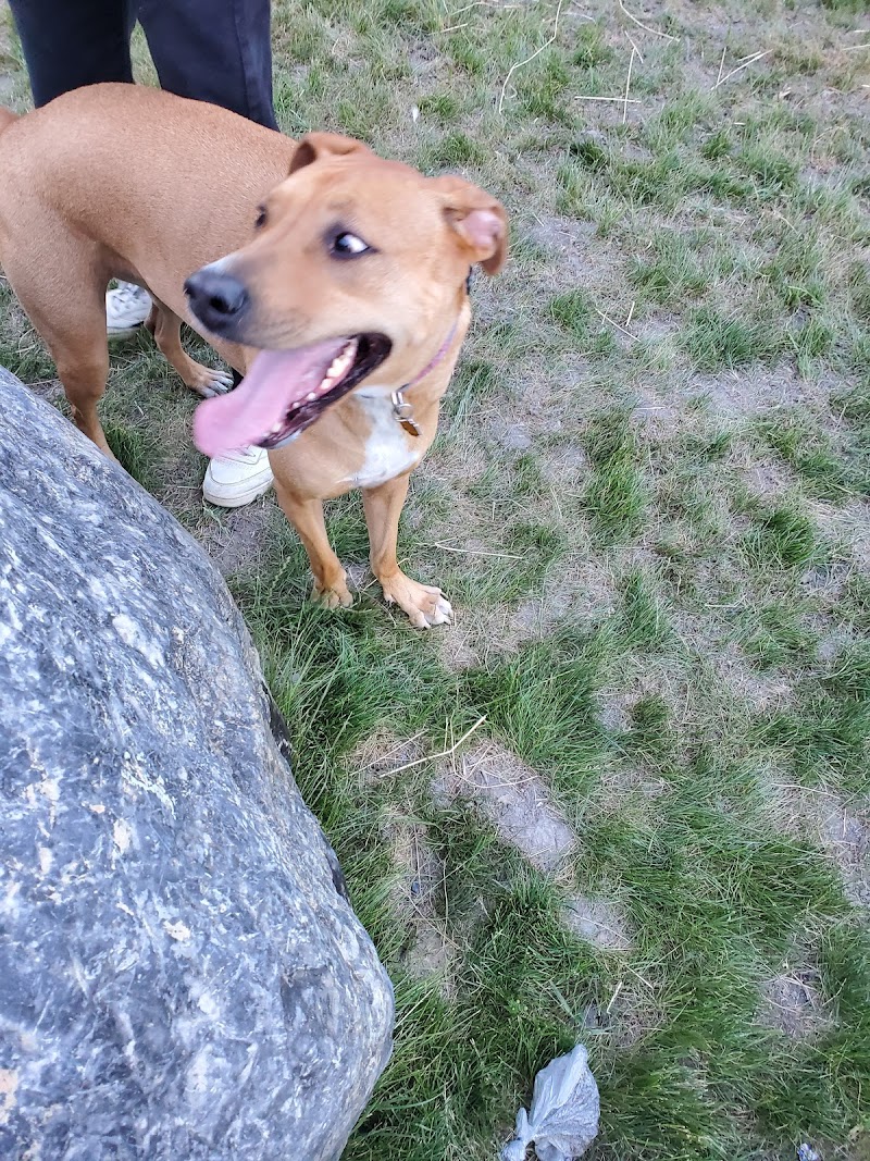 Bande Saint-Antoine dog park dog park
