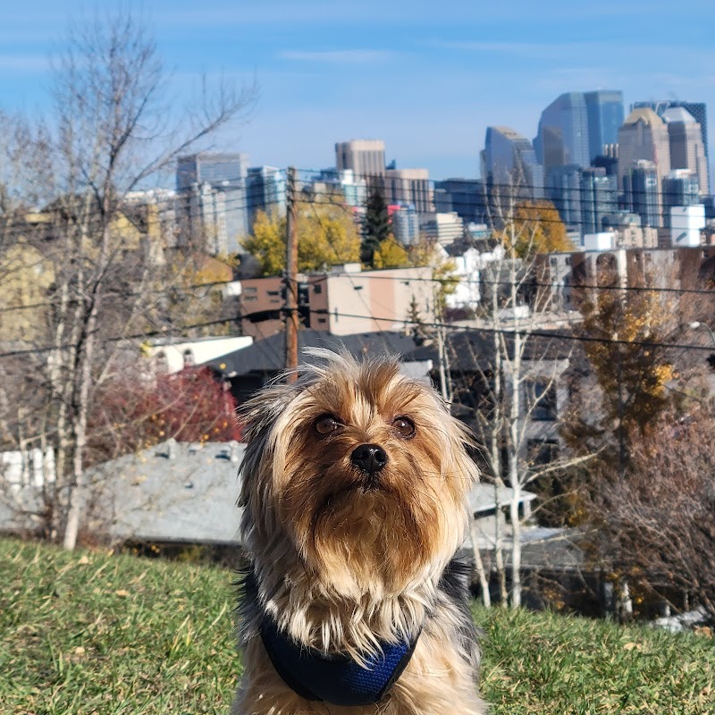Bankview Dog Park dog park
