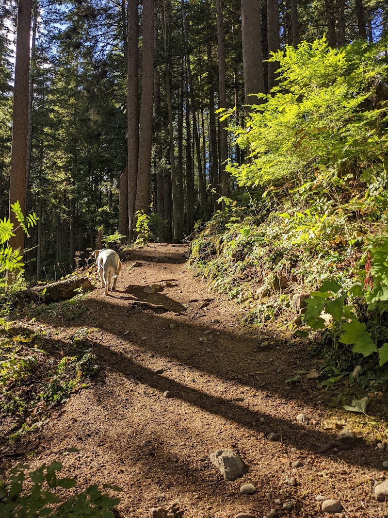 Merrill Park Off-Leash Dog Area dog park