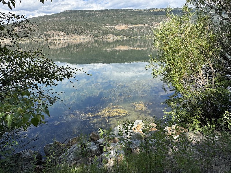 Pelmewash Dog Off-leash Beach dog park