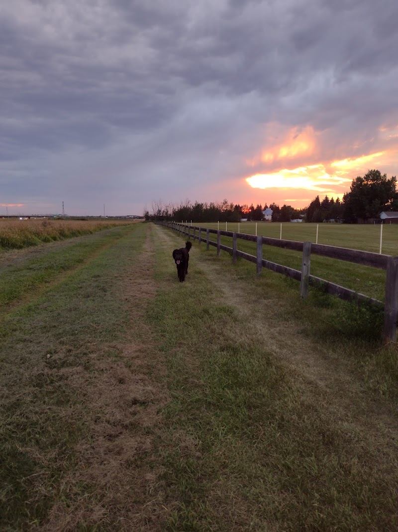 Satoo Dog Park dog park