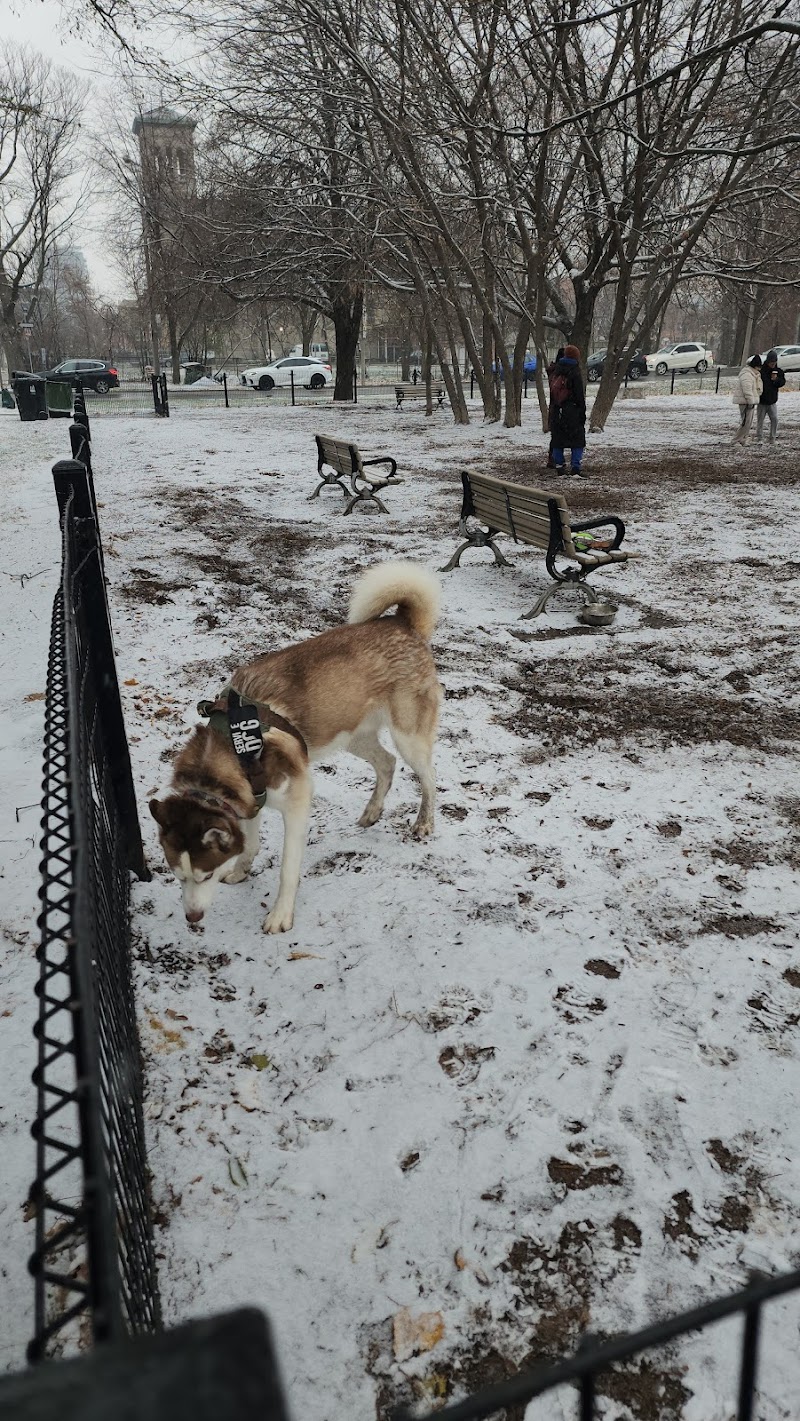 Orphan's Green Off Leash Dog Park dog park