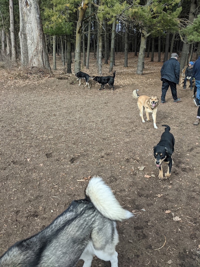 Ferguson Forest Dog Park dog park
