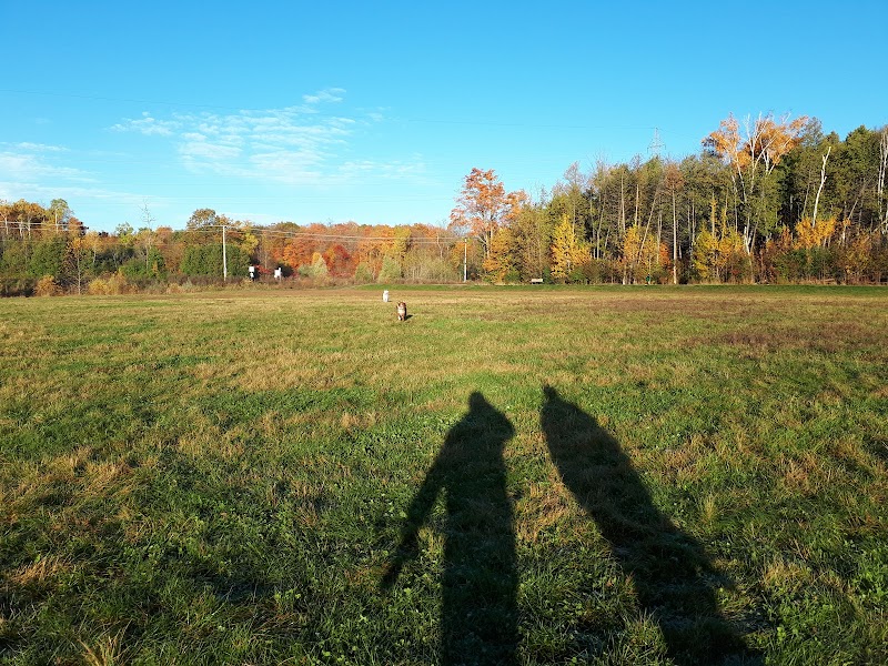Aylmer Off-Leash Dog Park dog park