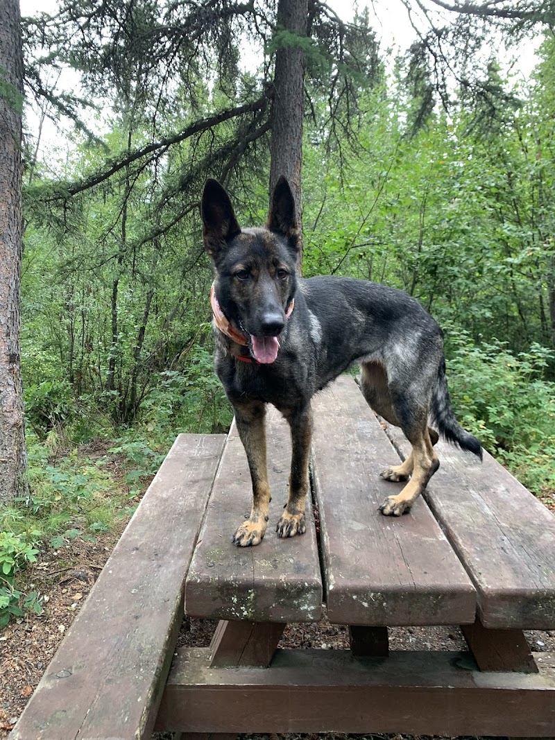 Barbaree Dog Park dog park