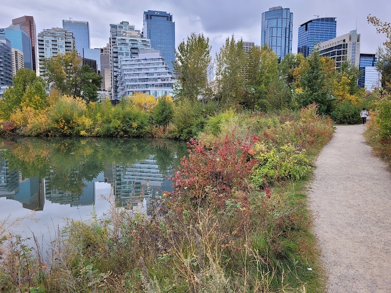 Brittania Slopes dog park