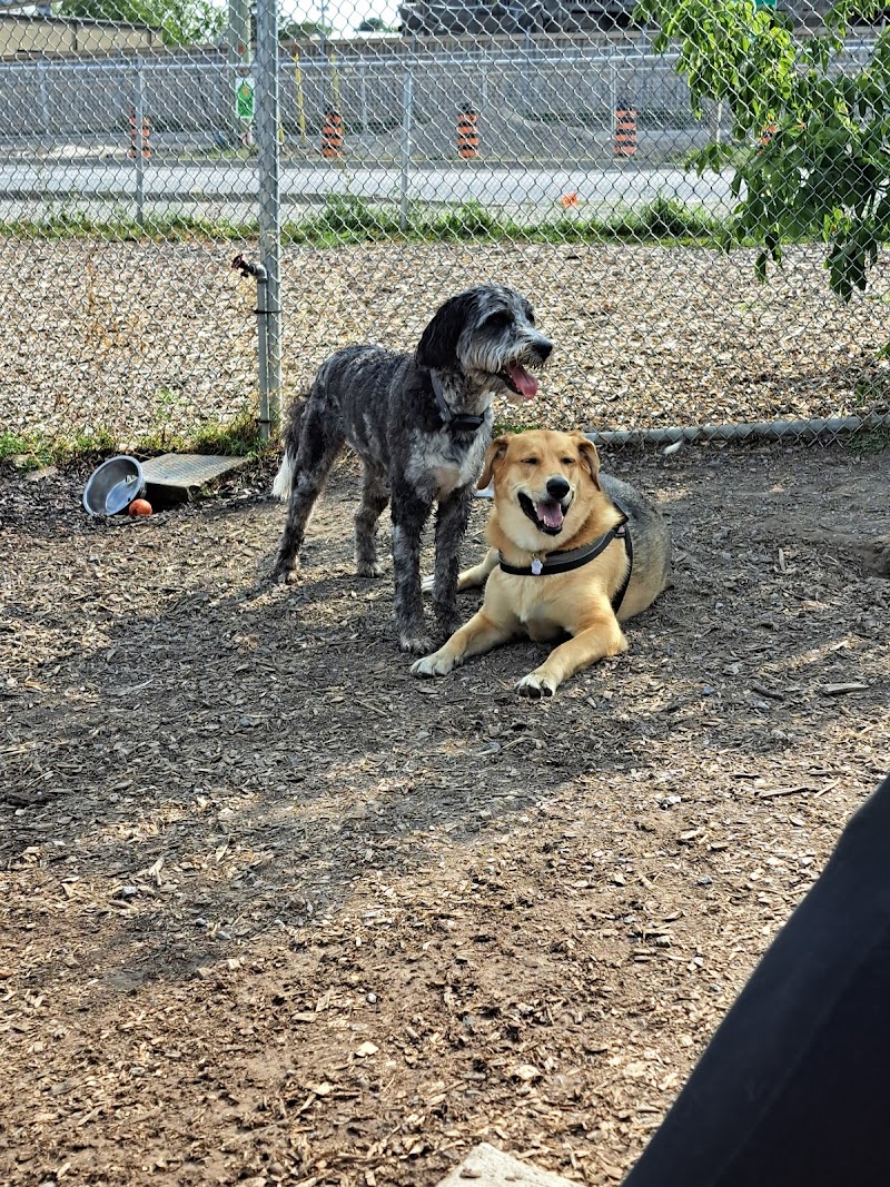 Thurlow Dog Park dog park