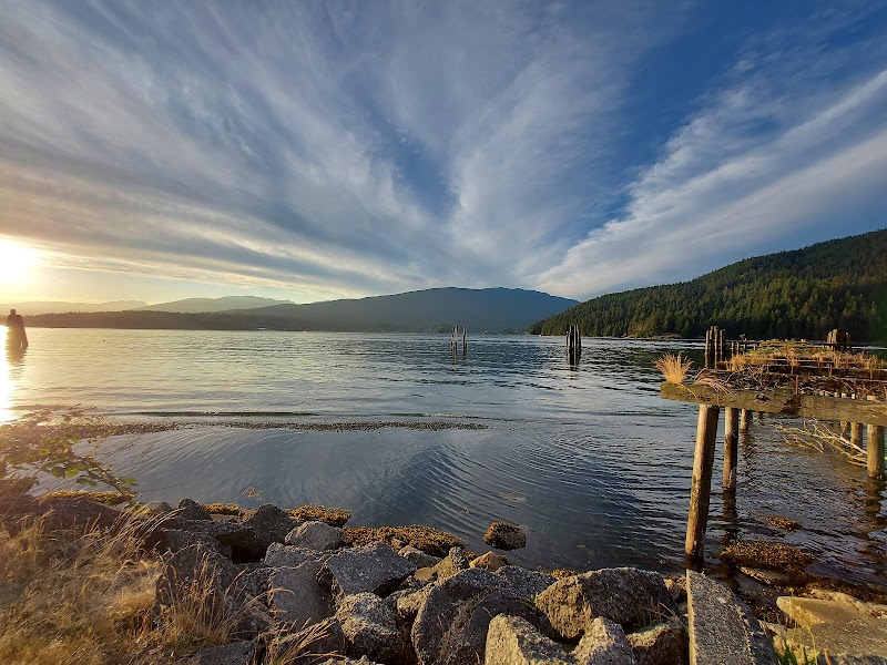 Drummond's Walk Dog Off-leash Trail dog park