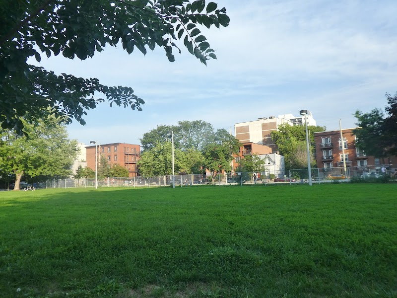 Jack Purcell Park dog park