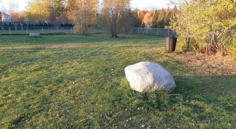 Parc canin Cap-Santé dog park
