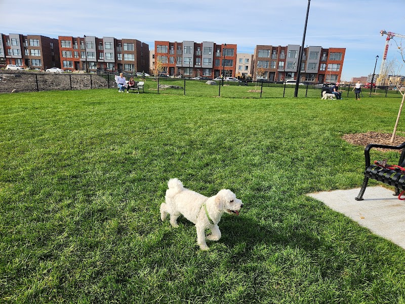 Noroît Dog Park dog park