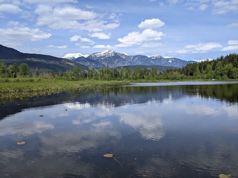 One Mile Lake - Dog Beach dog park