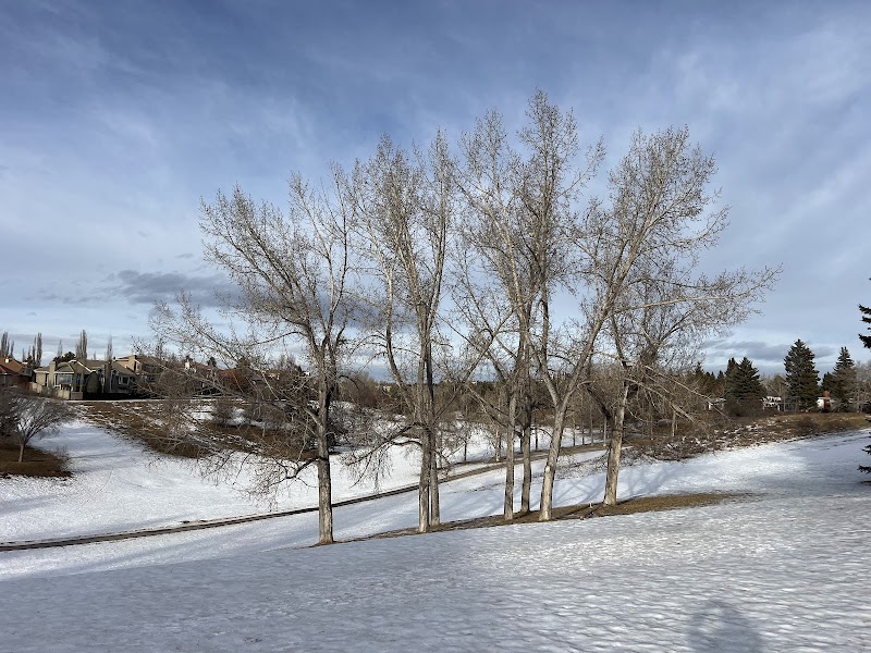 Varsity Ravine Park dog park