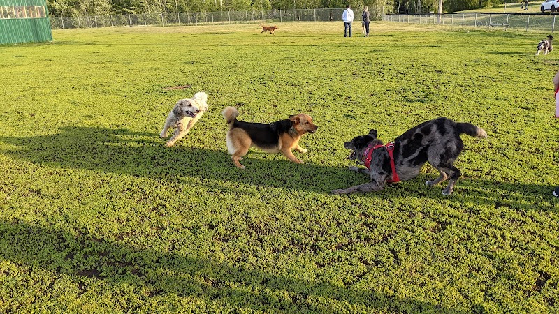 Dieppe Off-Leash Dog Park dog park