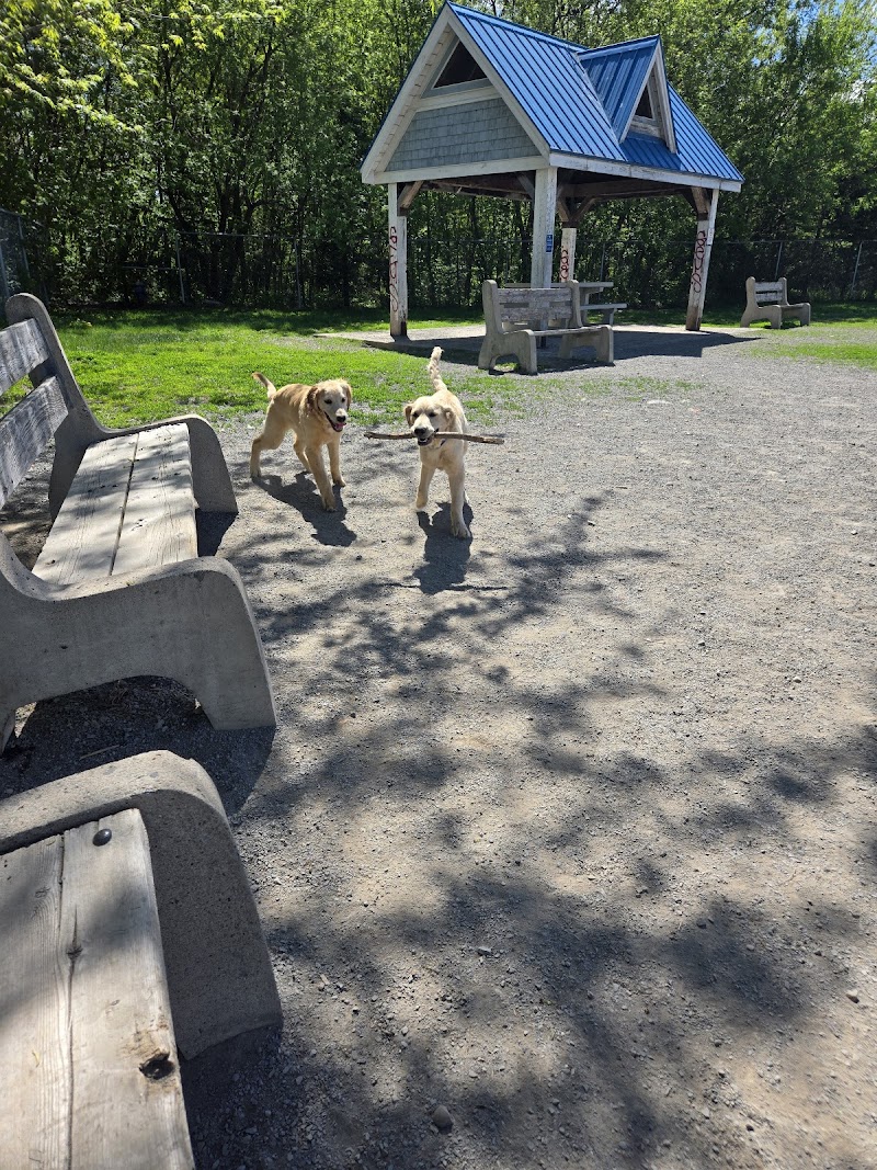 Cityview Dog Park dog park