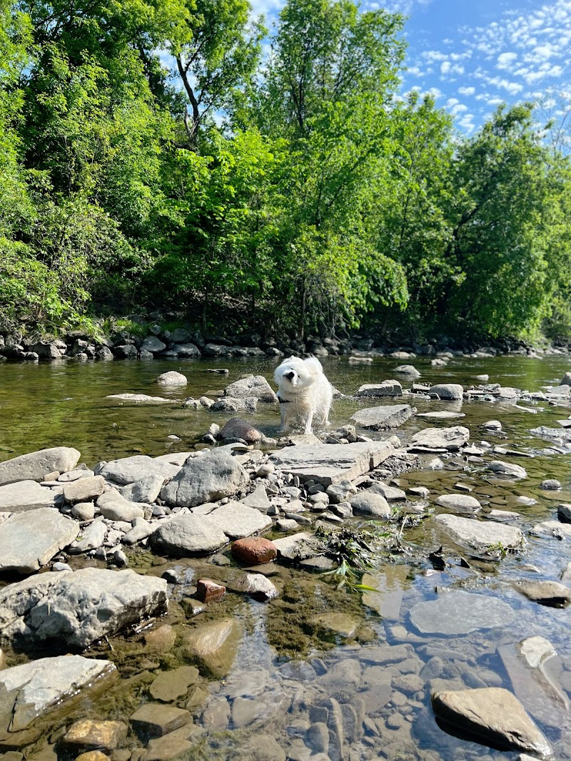 Etobicoke Creek Offleash Dog Park dog park