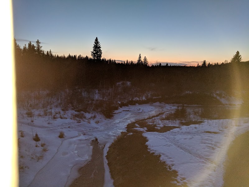 Big Bear Park dog park