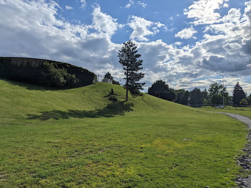 Julien-Lord Dog Park dog park