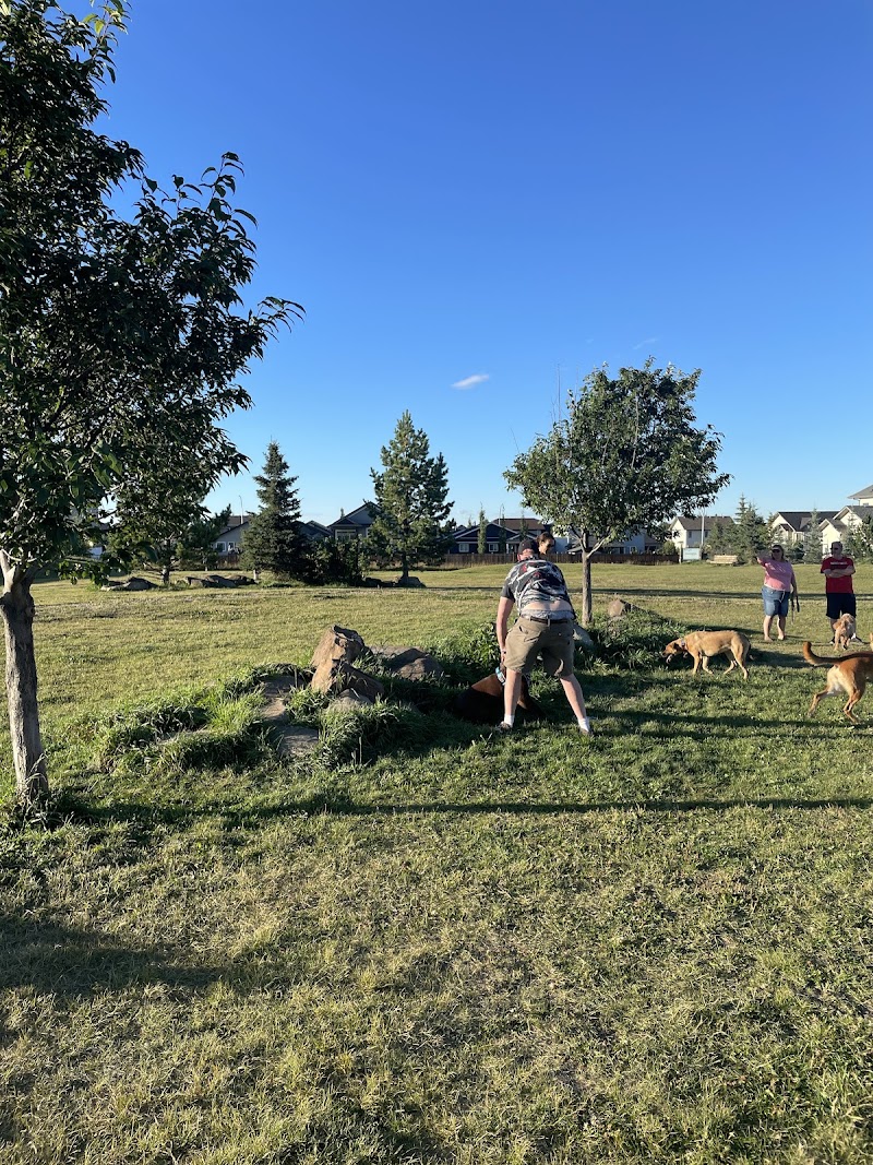 Sylvan Lake Off Leash Dog Park dog park