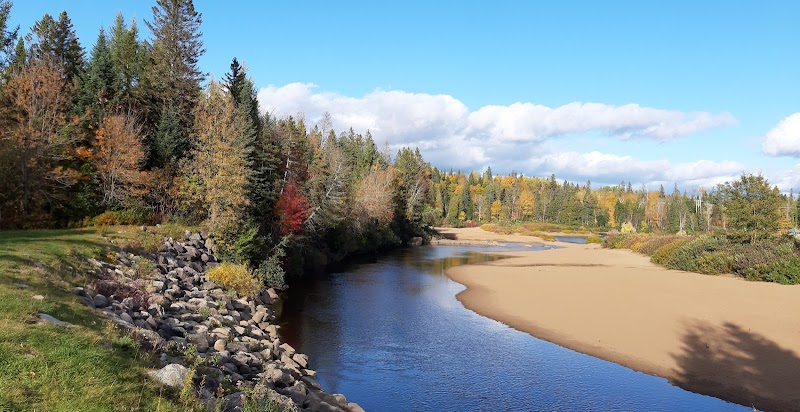 Shannon Dog Park dog park