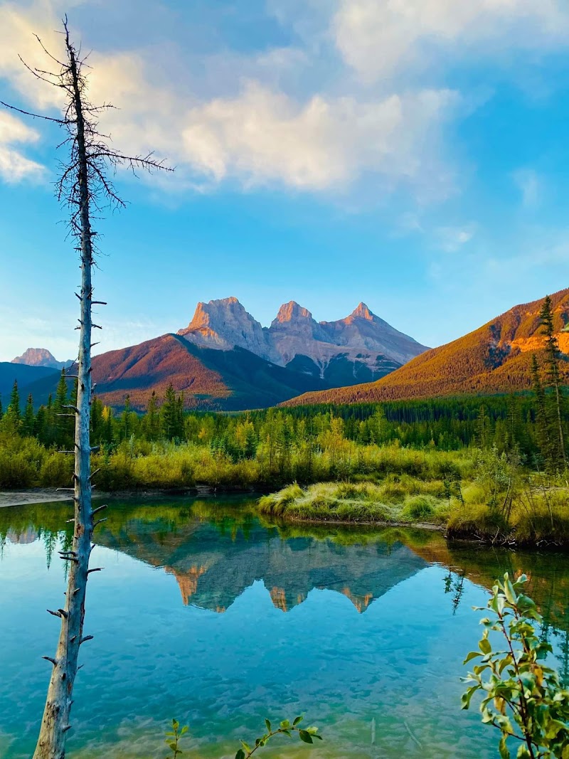 Canmore Off Leash Dog Area dog park