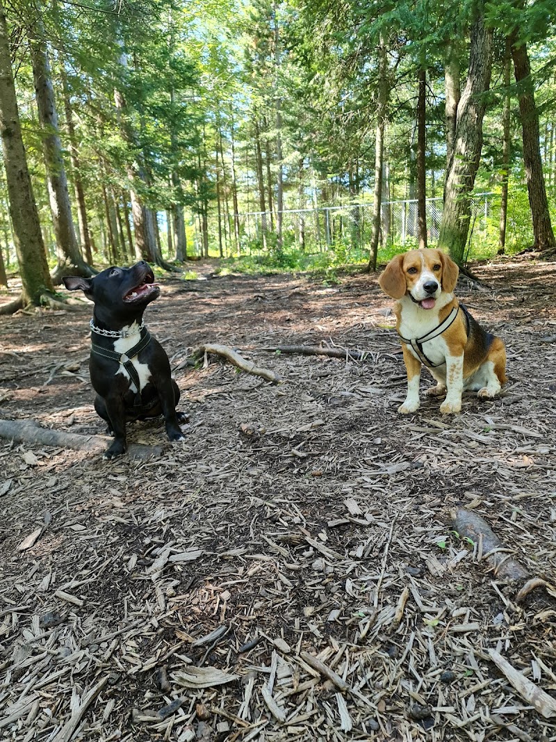 Centennial Park Dog Park dog park