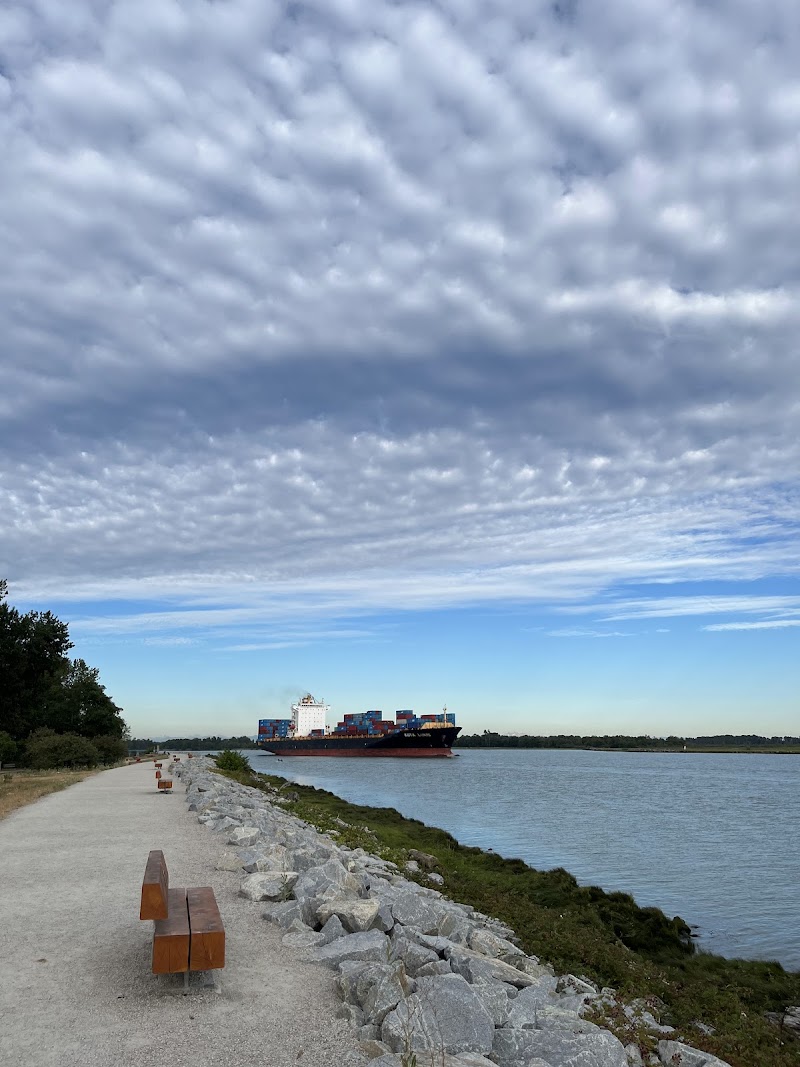 Woodwards Slough dog park
