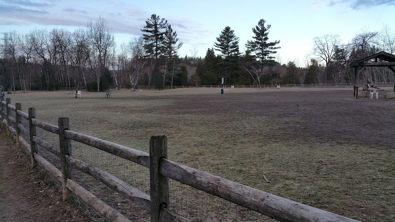Pickering Dog Park dog park