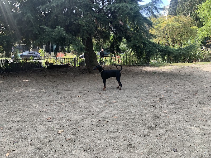 Nelson Park Dog Park dog park