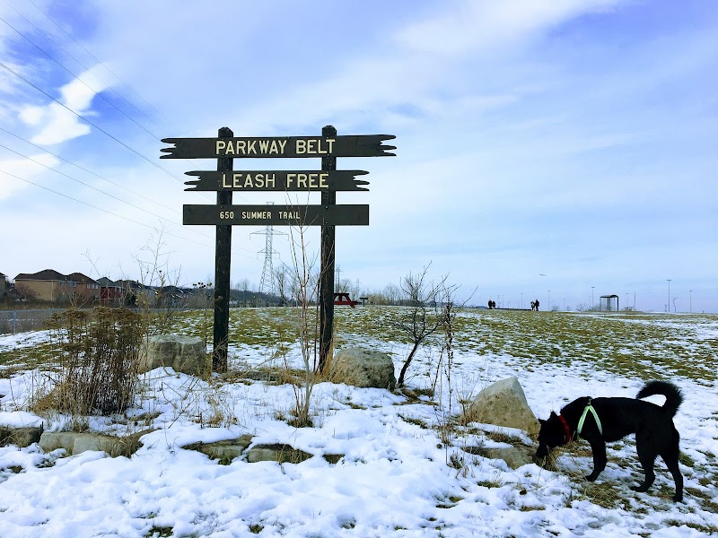 Parkway Belt Dog Park dog park