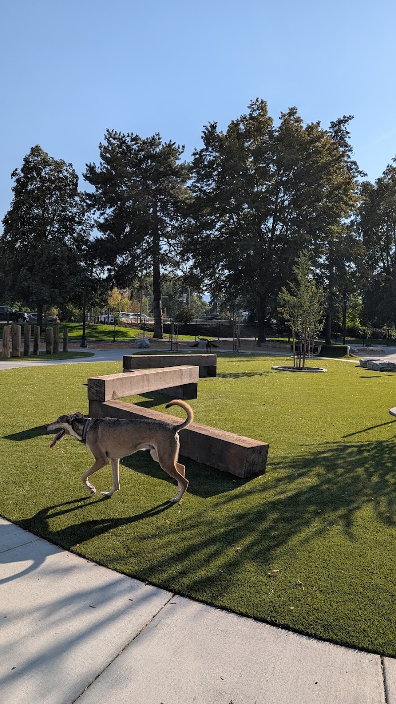 Kelowna City Beach Dog Park — small dog area in Kelowna