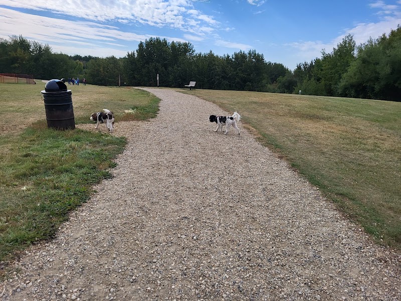 Deermound off-leash dog park dog park