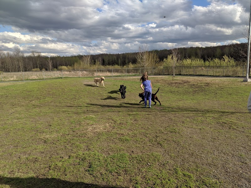 Parc canin de Ste-Julie dog park