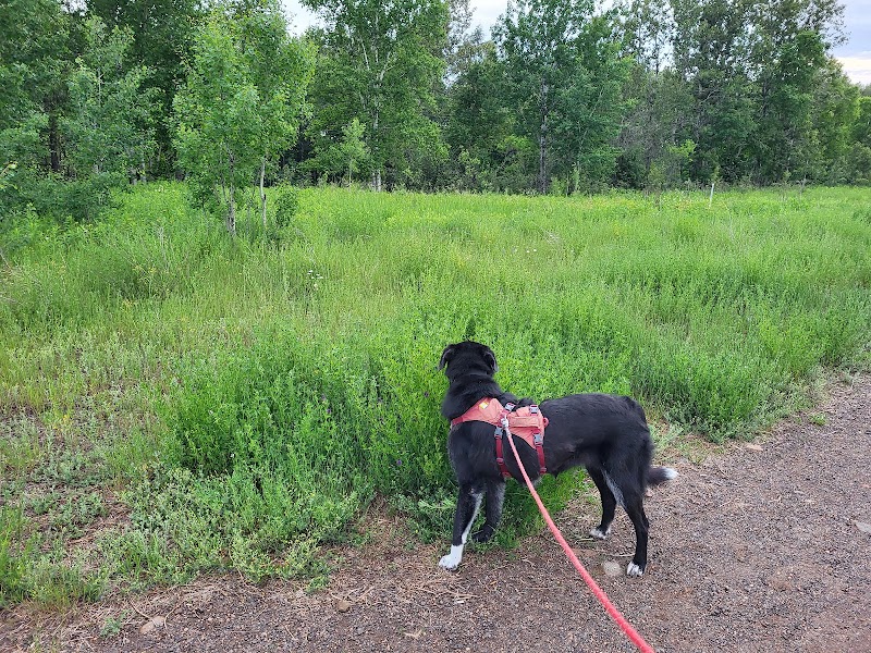 Hillyard Lands Off-leash Dog Park dog park