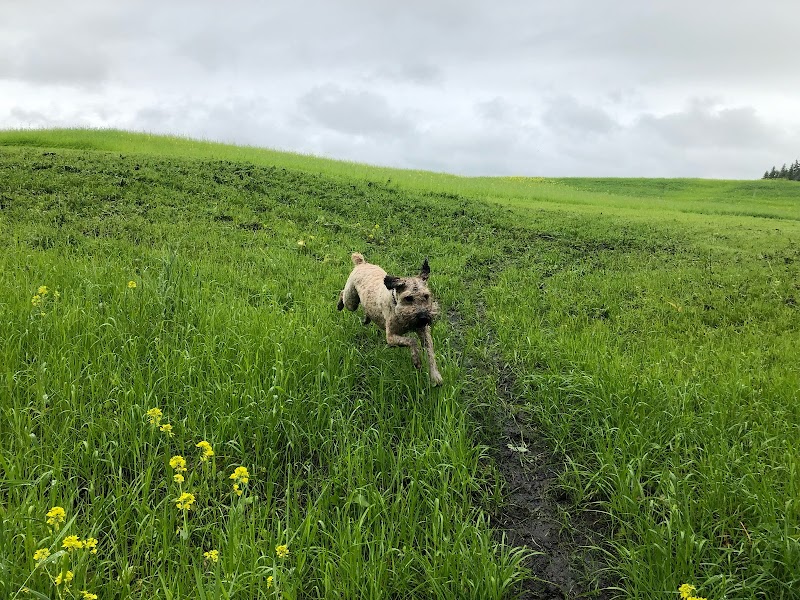 Unleashed Acres (Private) dog park