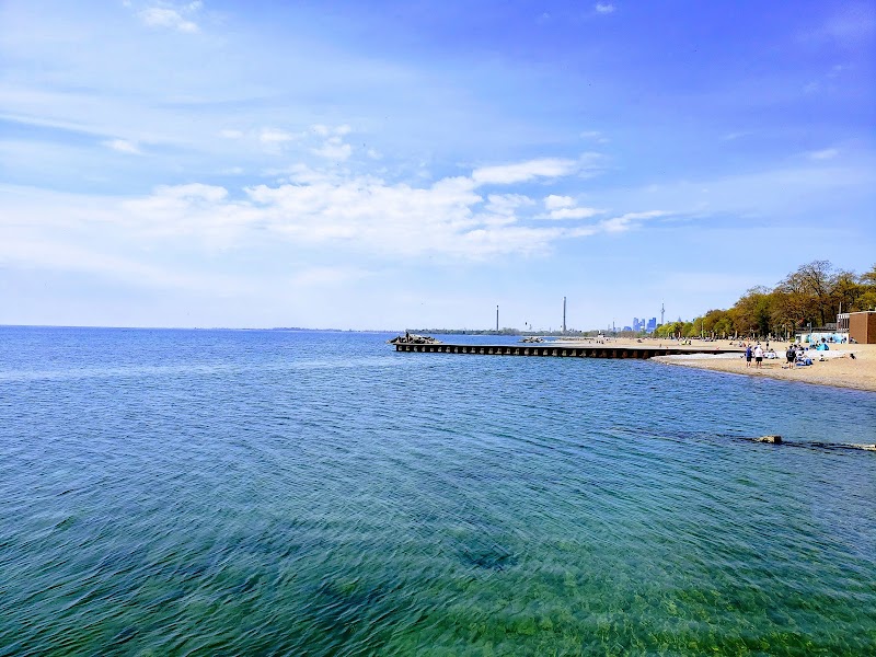 Silver Birch Off-Leash Dog Park dog park