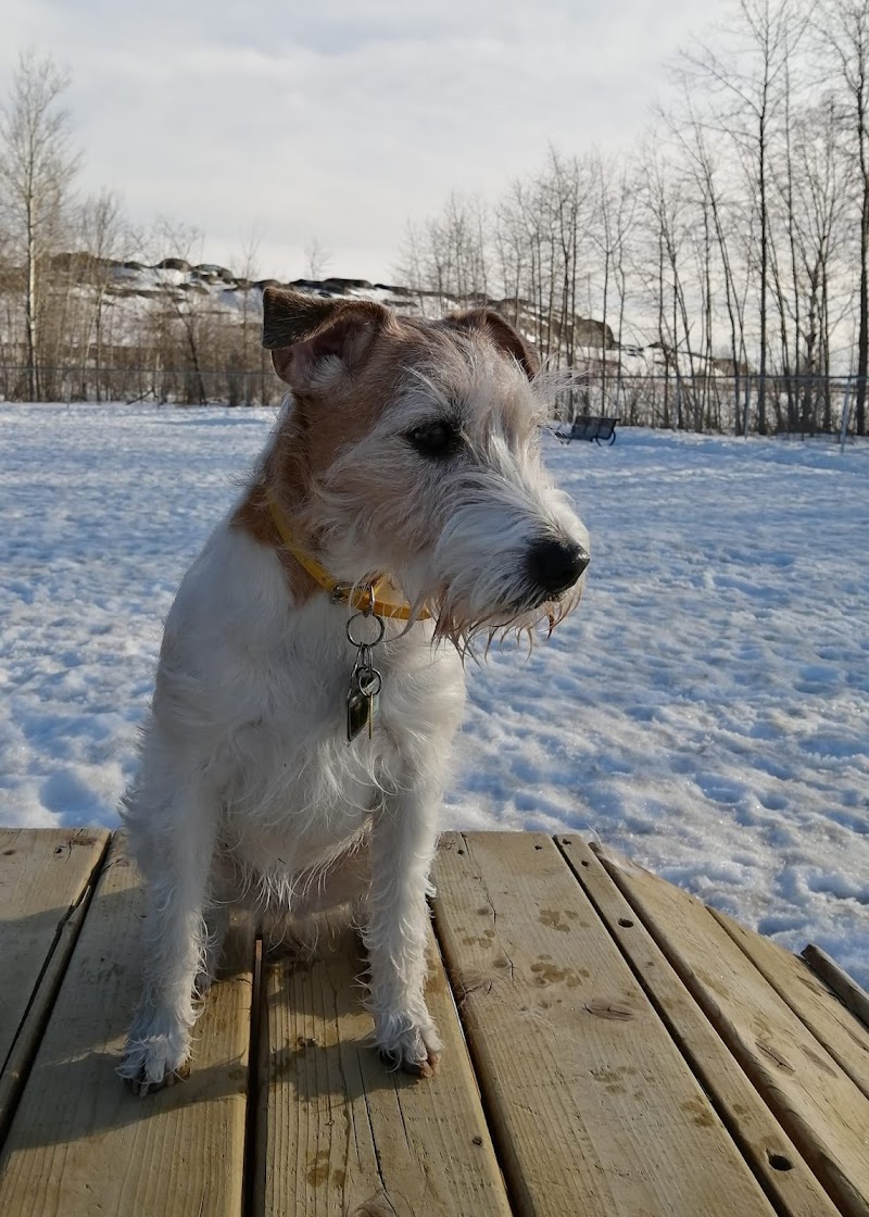 APCRN Dog Park dog park