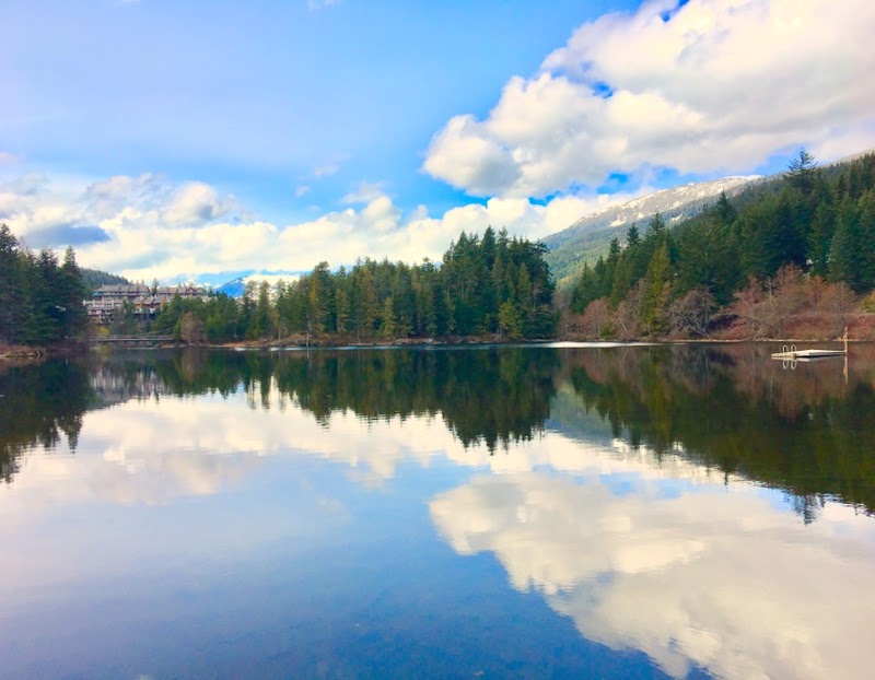 Alpha Lake Park dog park