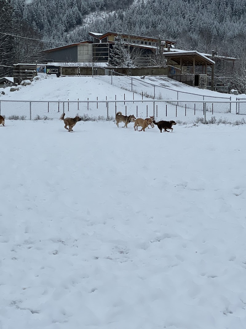 Pemberton off leash dog park dog park