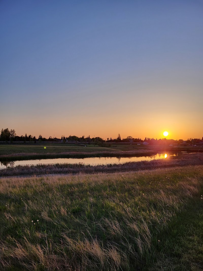 Hyde Park Dog Park dog park