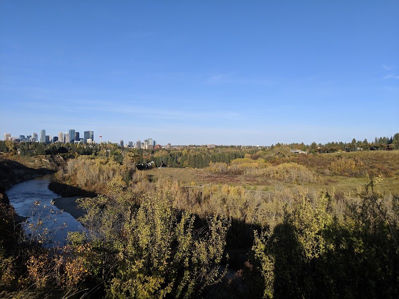 River Park Off Leash Dog Park dog park