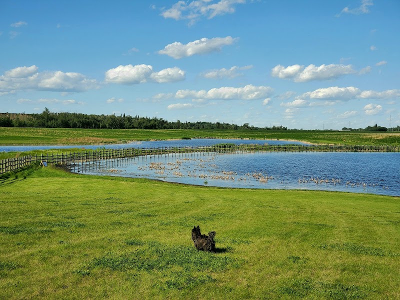 West River's Edge Dog Park dog park