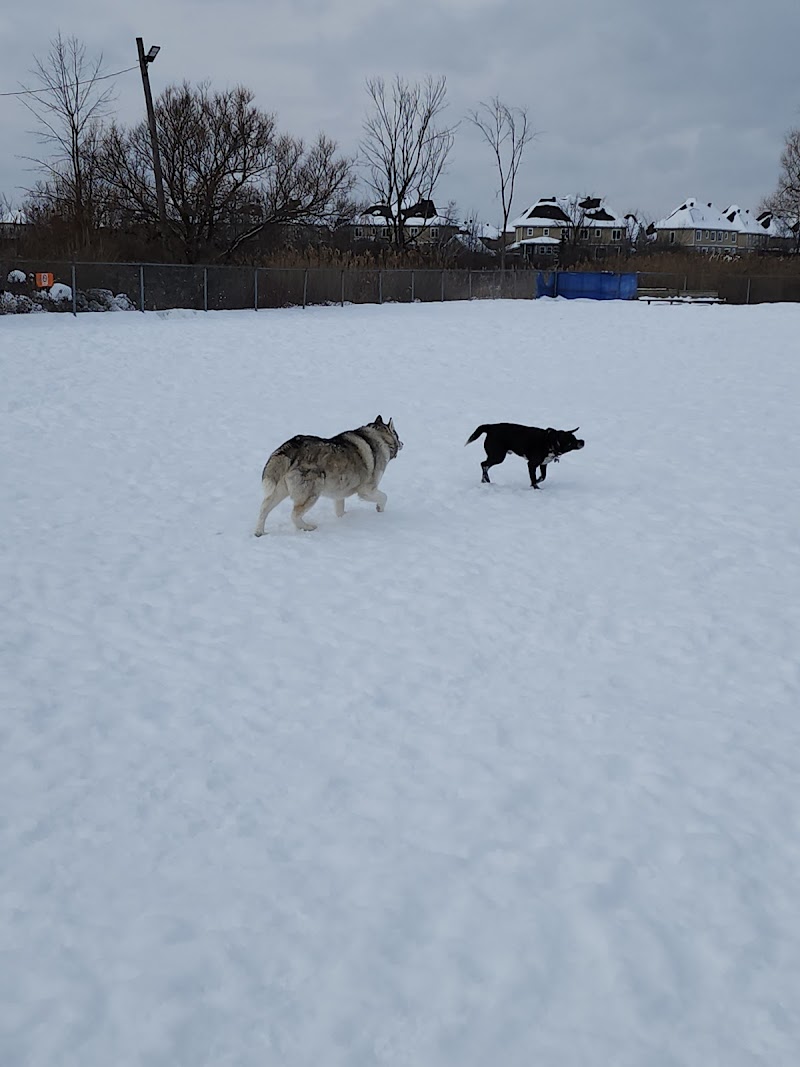 Vauquelin dog park in Saint-Hubert dog park