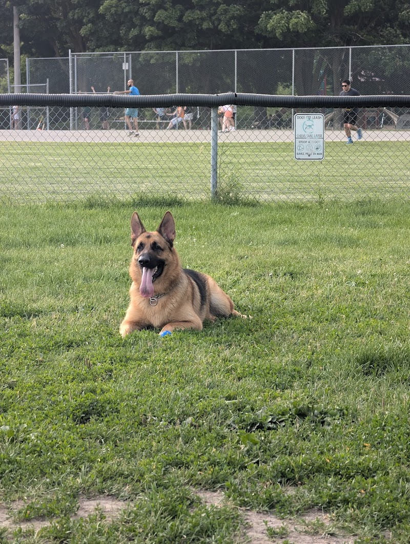 Riverain Fenced Dog Park dog park