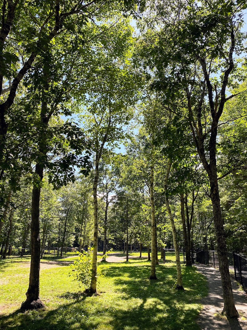 South Shore Vet Dog Park dog park