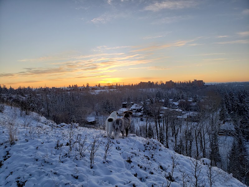 Roxboro & Erlton Offleash Dog Park dog park